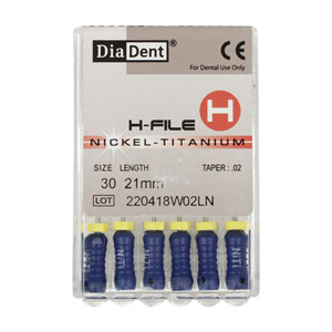 H FILE (NICKEL-TITANIUM) .02/21MM(ISO 30)